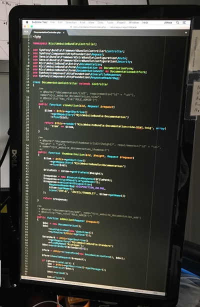 Why Vertical Monitor is Good for Programmers?